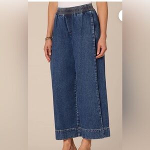 NWT!! Democracy Skyrise Cropped Wide Leg  Glider Jeans with Pleating  Medium